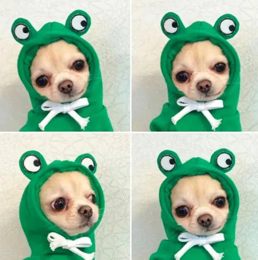 Cute Dog Clothes
