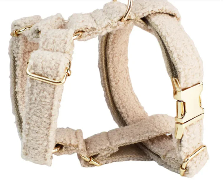 Minimalist Cream Pet Collar & Harness