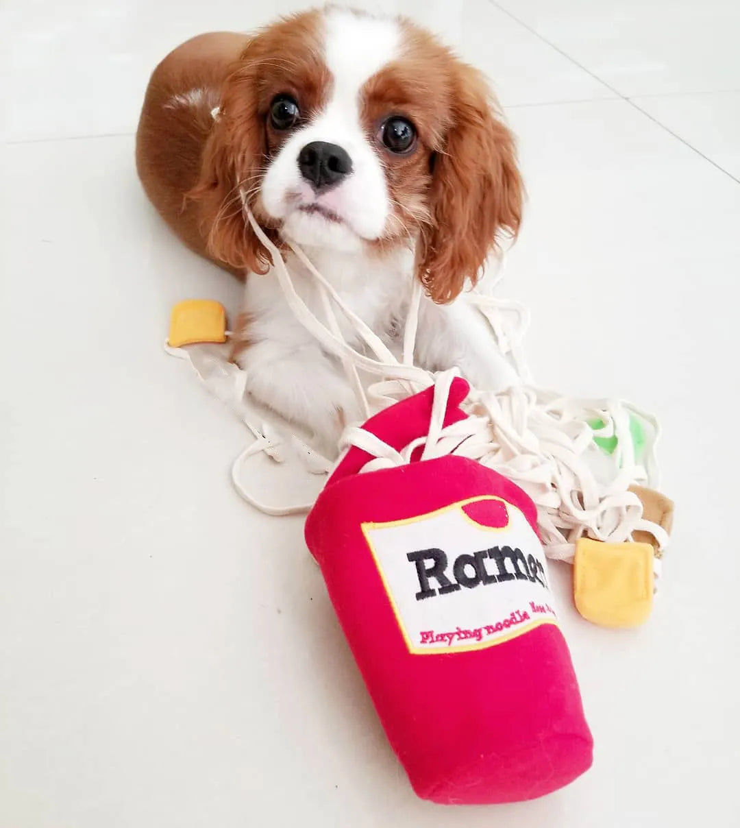 Interactive Korea Ramen Pet Sniffing Toy