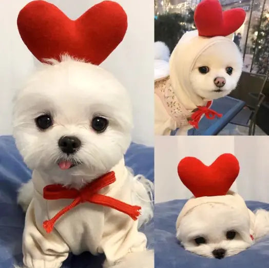 Cute Dog Clothes