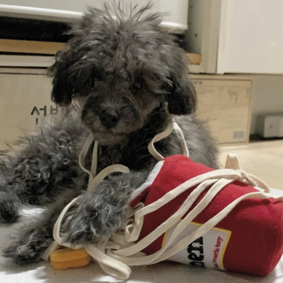 Interactive Korea Ramen Pet Sniffing Toy