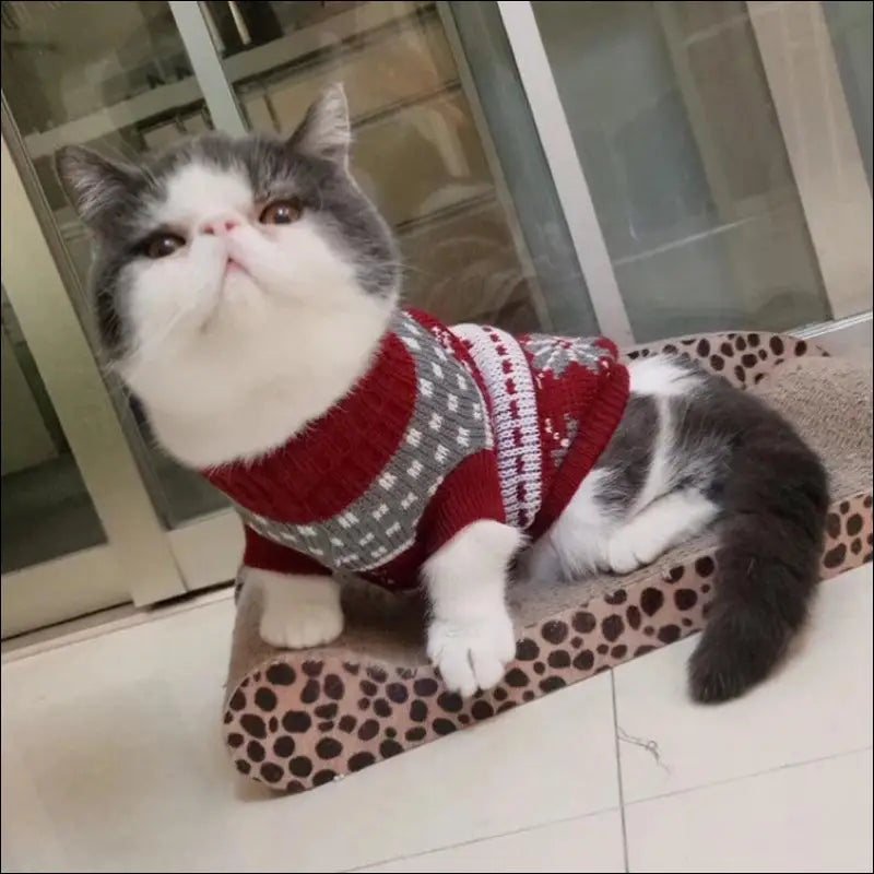 Cute Cat Sweater Costume - Winter Warm Pet Clothes for Cats Sphynx Pullover Cozy Apparel Gatos & Mascotas