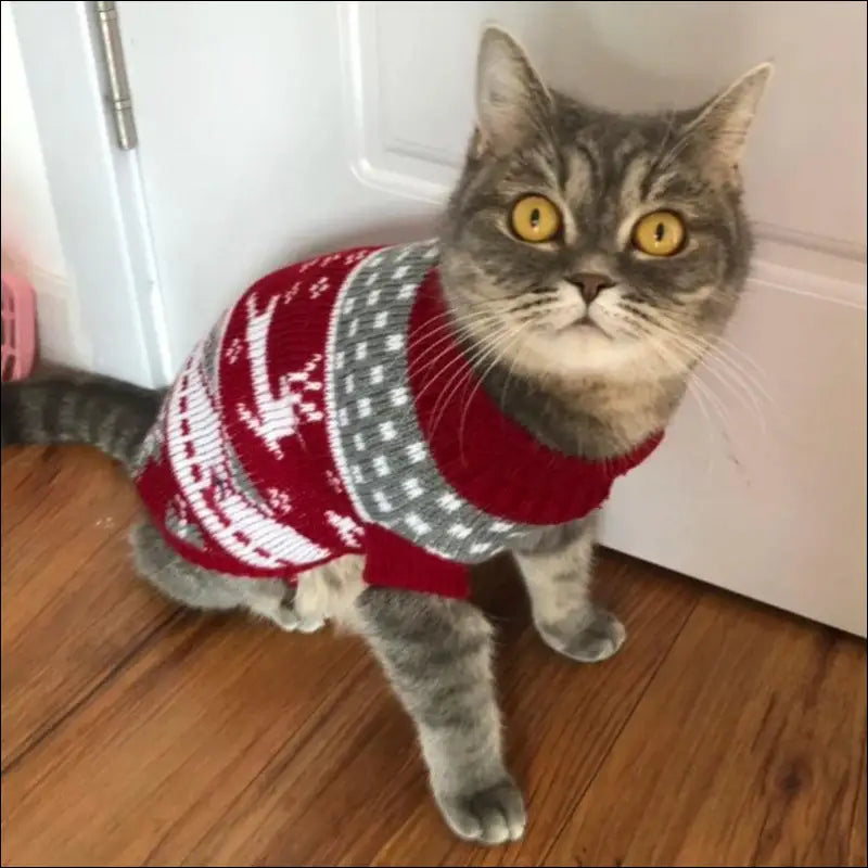 Cute Cat Sweater Costume - Winter Warm Pet Clothes for Cats Sphynx Pullover Cozy Apparel Gatos & Mascotas