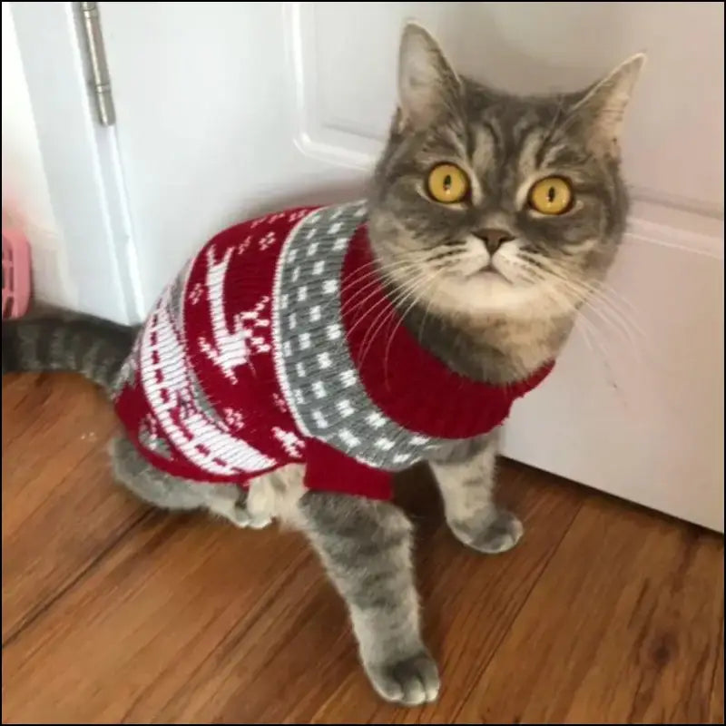 Cute Cat Sweater Costume - Winter Warm Pet Clothes for Cats Sphynx Pullover Cozy Apparel Gatos & Mascotas