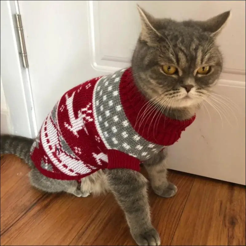 Cute Cat Sweater Costume - Winter Warm Pet Clothes for Cats Sphynx Pullover Cozy Apparel Gatos & Mascotas