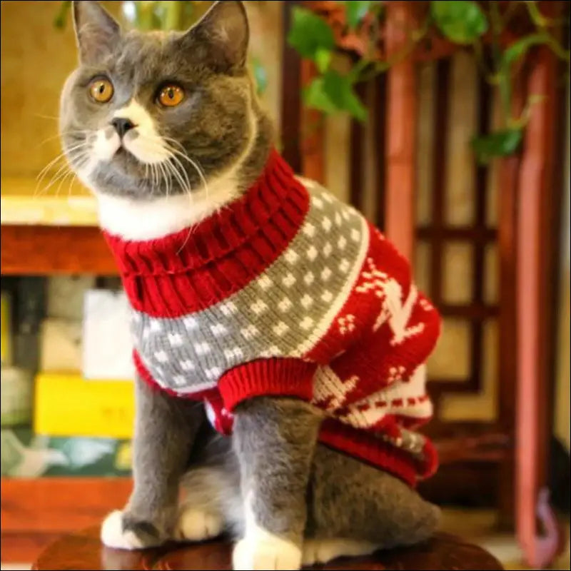 Cute Cat Sweater Costume - Winter Warm Pet Clothes for Cats Sphynx Pullover Cozy Apparel Gatos & Mascotas