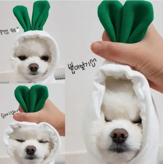 Cute Dog Clothes
