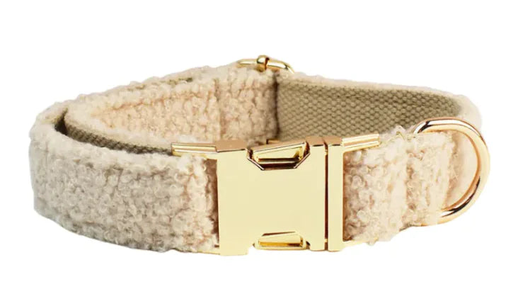 Minimalist Cream Pet Collar & Harness