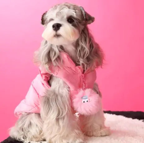 Puppy Vest Sleeveless clothes