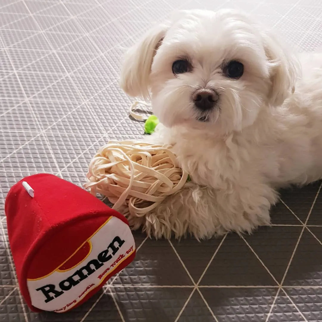Interactive Korea Ramen Pet Sniffing Toy