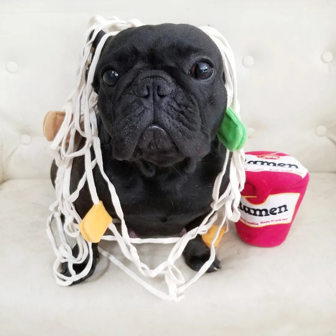 Interactive Korea Ramen Pet Sniffing Toy