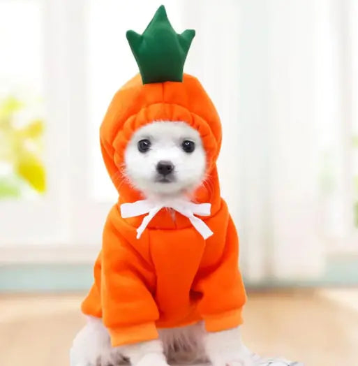 Cute Dog Clothes