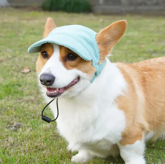 Pet Casual Hat