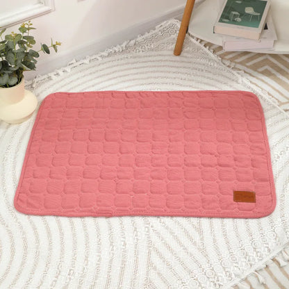 Autumn & Winter Thick Pet Mat