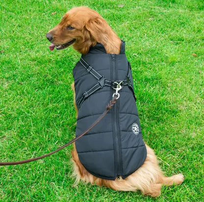 Winter Warm Hooded Coat for Small Dogs and Cats
