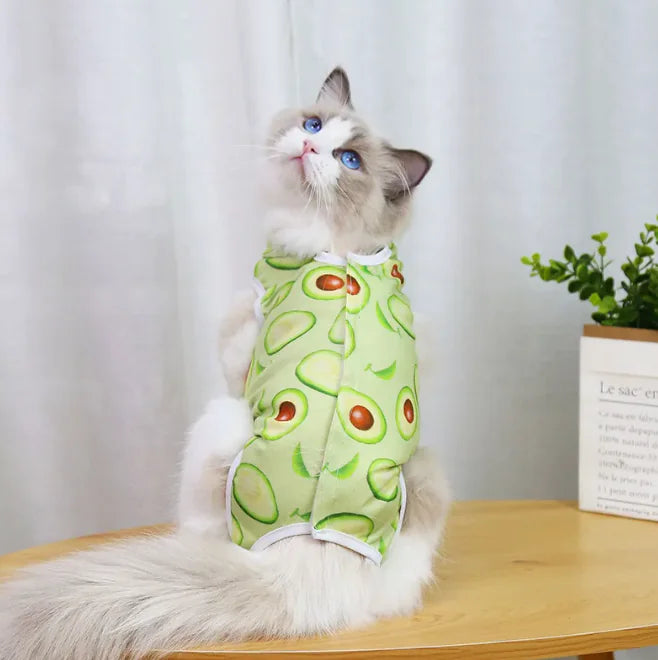 Spay & Neuter Recovery Wear