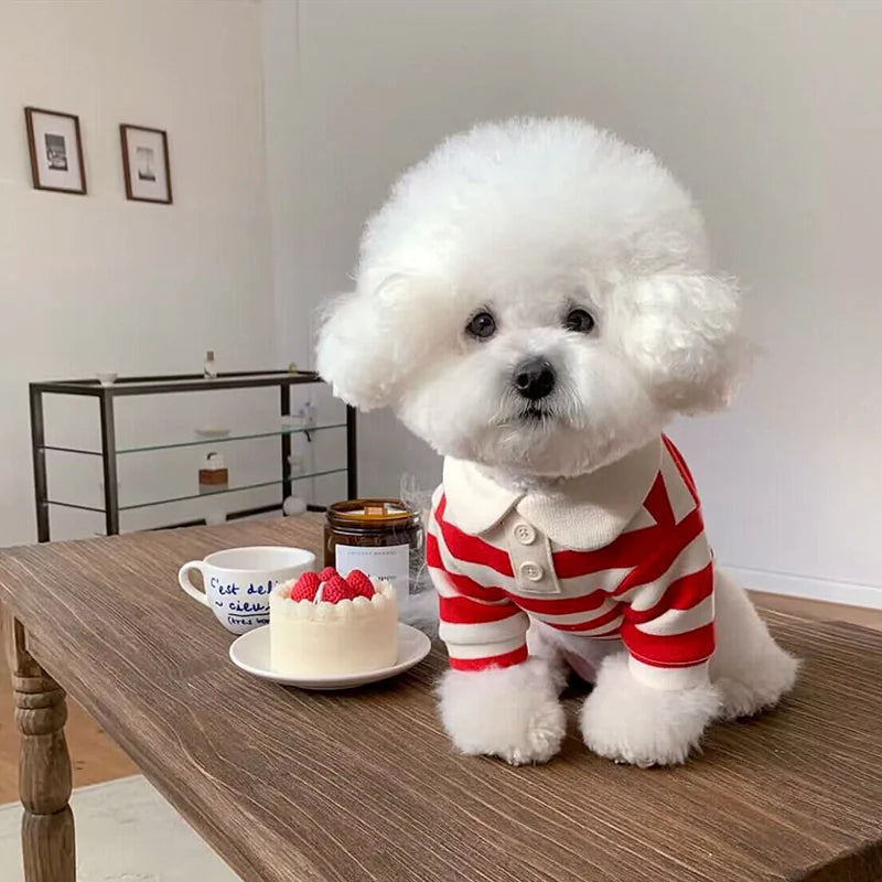 Summer Polo Dog Clothes