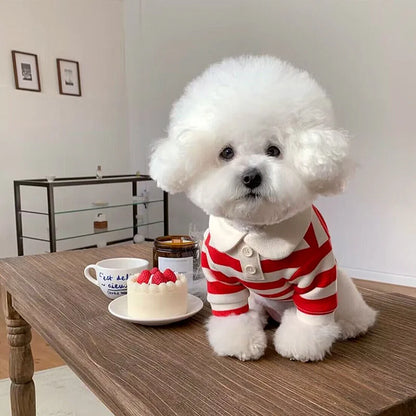 Summer Polo Dog Clothes