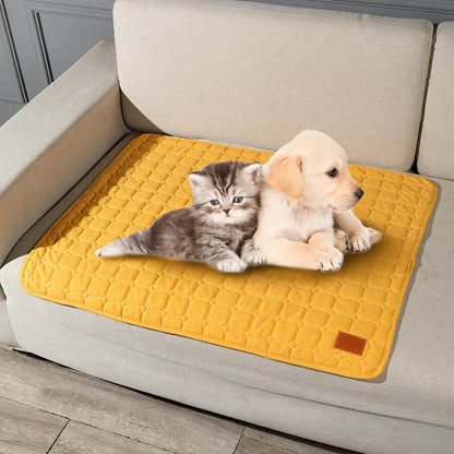 Autumn & Winter Thick Pet Mat