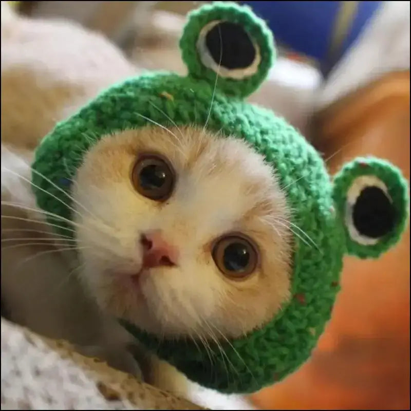 ’Autumn Winter Cute Cartoon Cat Hat - Knitted Elastic Pet Cap for Kittens & Puppies Photo Shoot Props’ - Autumn