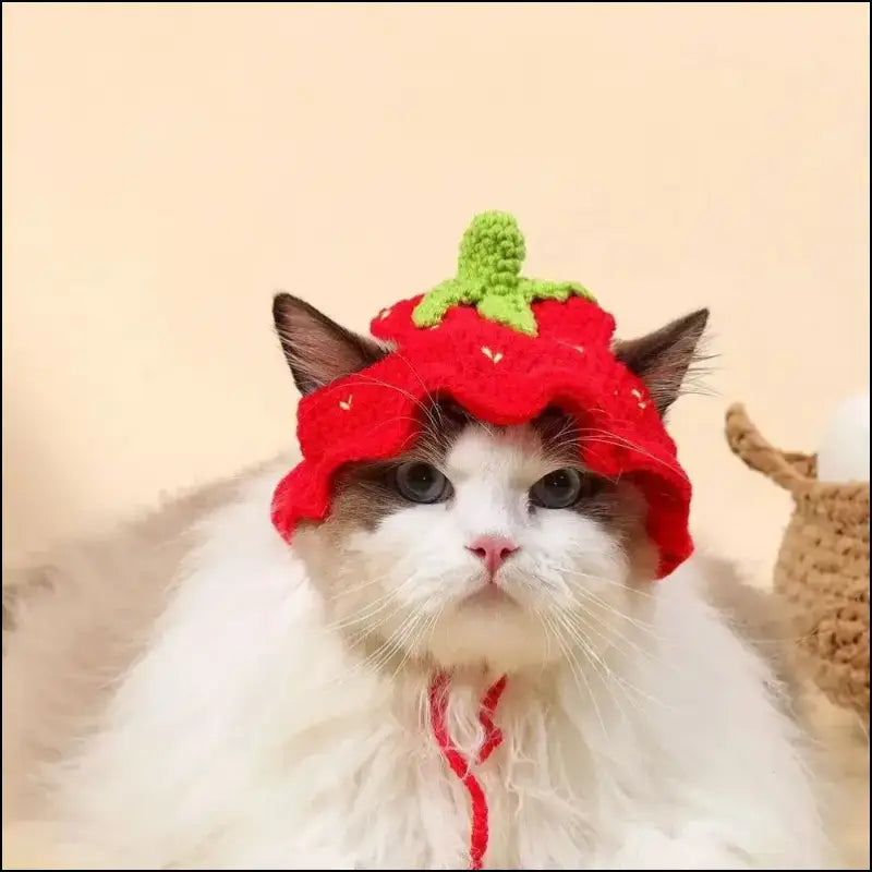 ’Autumn Winter Cute Cartoon Cat Hat - Knitted Elastic Pet Cap for Kittens & Puppies Photo Shoot Props’ - Autumn