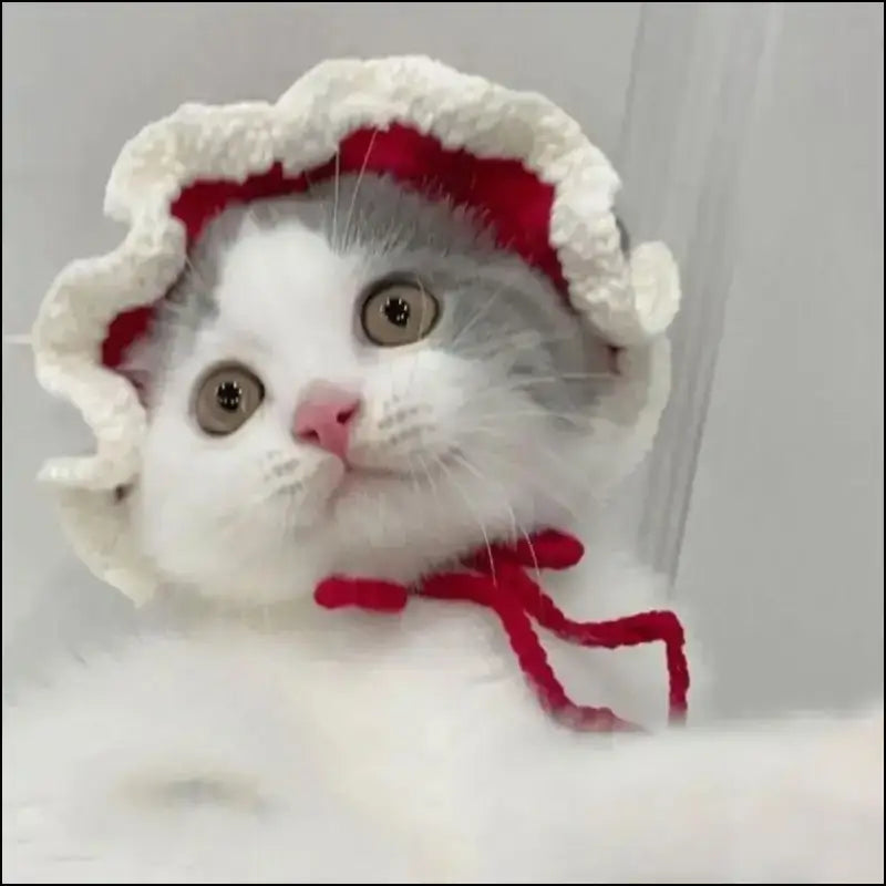 ’Autumn Winter Cute Cartoon Cat Hat - Knitted Elastic Pet Cap for Kittens & Puppies Photo Shoot Props’ - Autumn