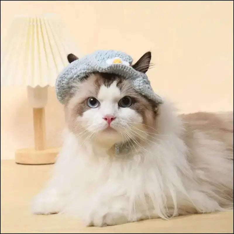 ’Autumn Winter Cute Cartoon Cat Hat - Knitted Elastic Pet Cap for Kittens & Puppies Photo Shoot Props’ - Autumn