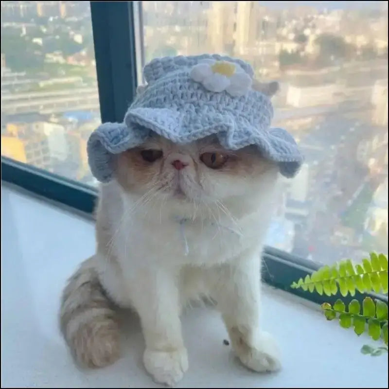 ’Autumn Winter Cute Cartoon Cat Hat - Knitted Elastic Pet Cap for Kittens & Puppies Photo Shoot Props’ - Autumn