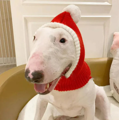 Woolen Pet Hat for Autumn & Winter