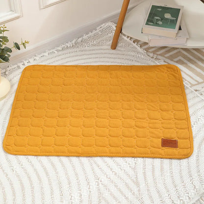 Autumn & Winter Thick Pet Mat