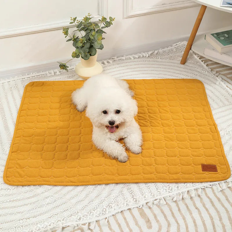 Autumn & Winter Thick Pet Mat