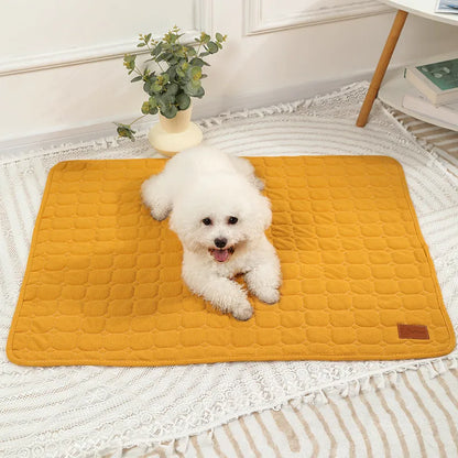 Autumn & Winter Thick Pet Mat