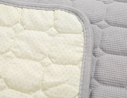 Autumn & Winter Thick Pet Mat